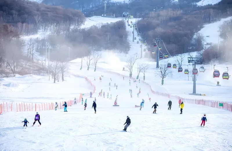 Сноуборд для взрослых, начинающих, для катания в парке11